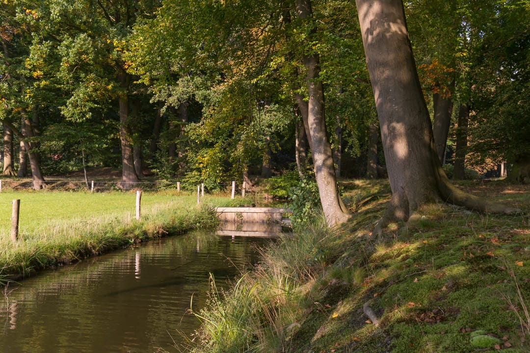 Photo 71 of Gersteland 6