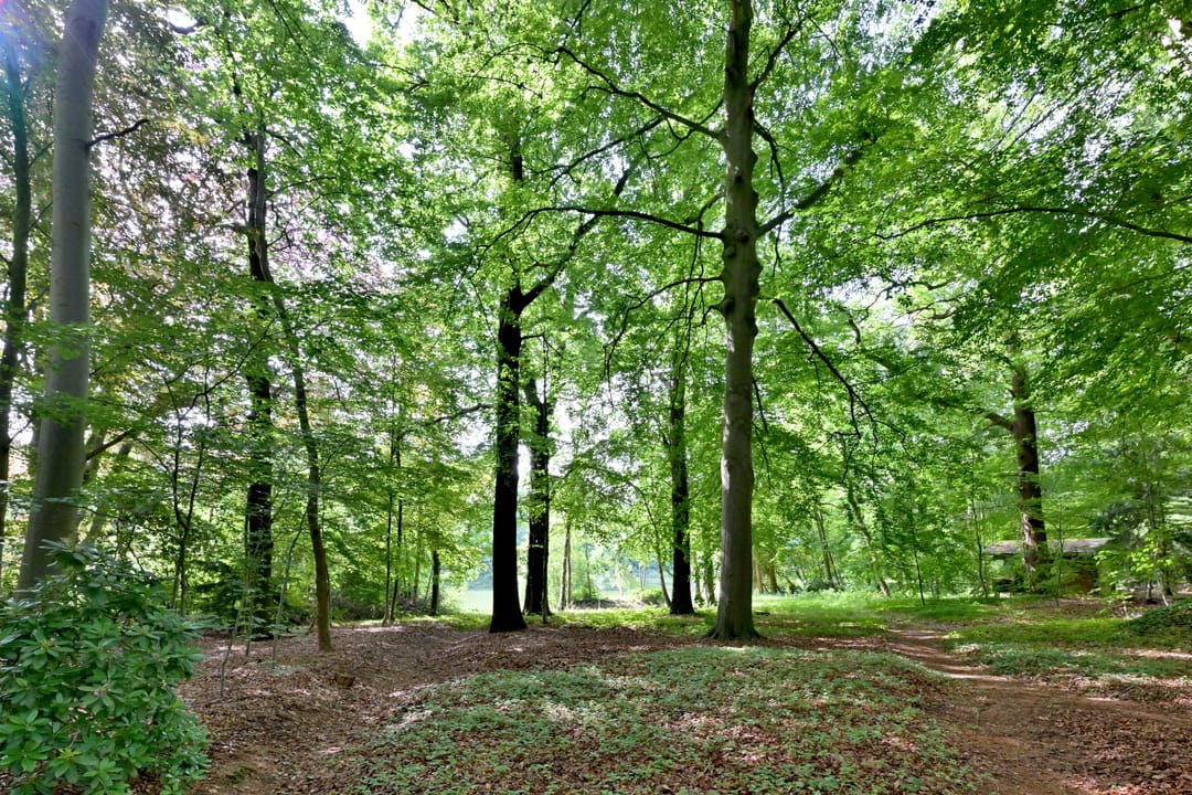 Foto 7 van Holleweg 2