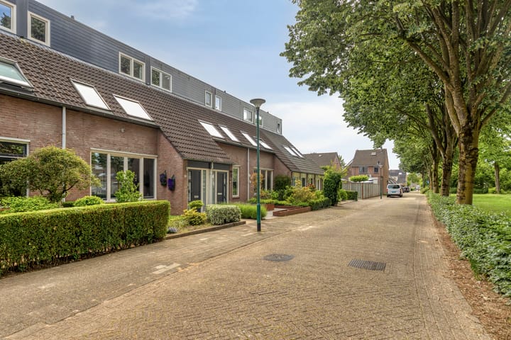 Foto 5 van Sleedoorn 34