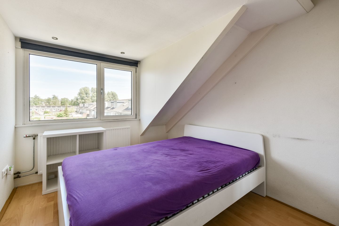 Photo 19 of Loethoelilaan 133