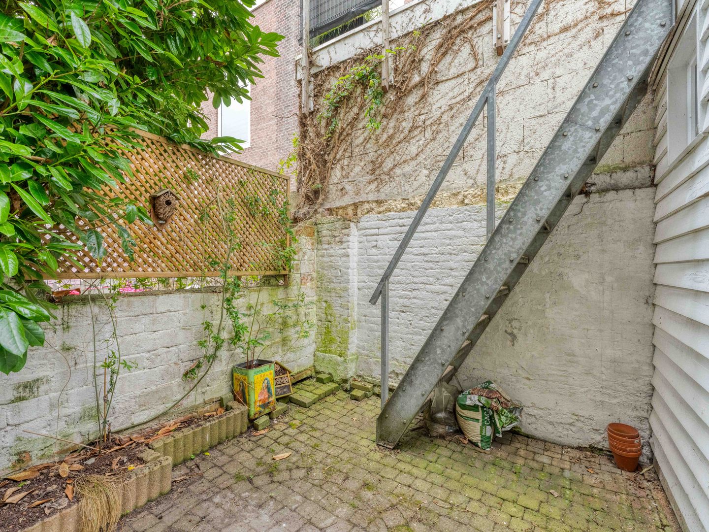 Photo 14 of Borneostraat 17