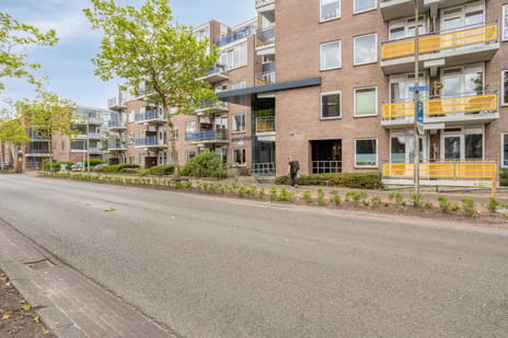 Zuidvliet thumbnail