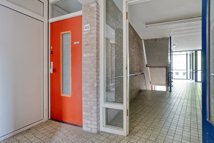 Foto 4 van Zuidvliet 460