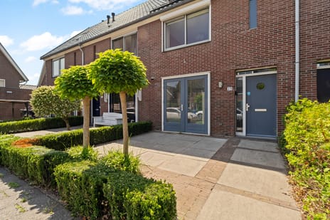 Piet Zwartstraat thumbnail