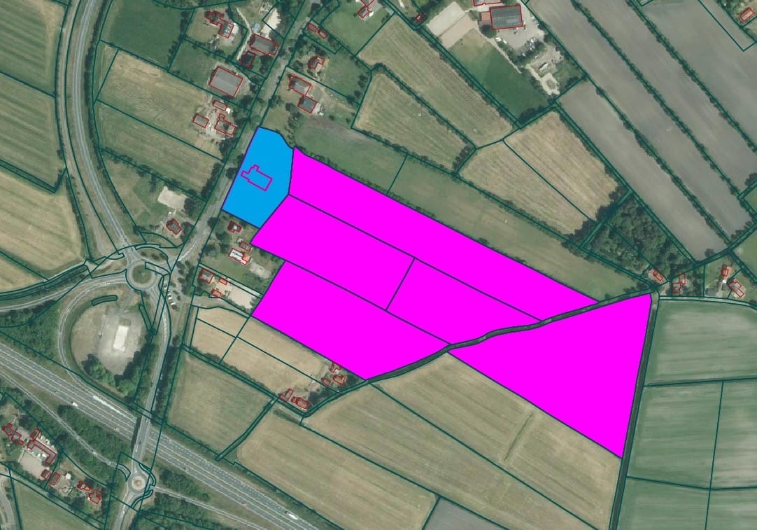 Westerein - Garyp - Afbeelding 1