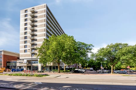 Adriaen van der Doeslaan thumbnail
