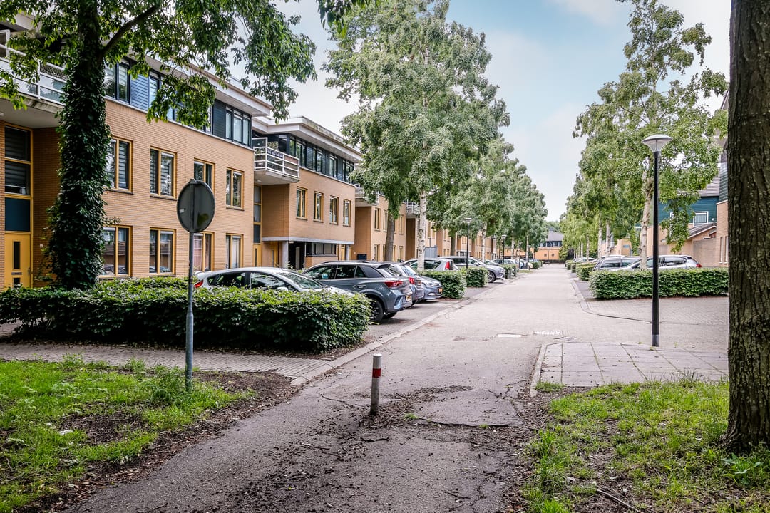 Photo 31 of Voorjaarstraat 32