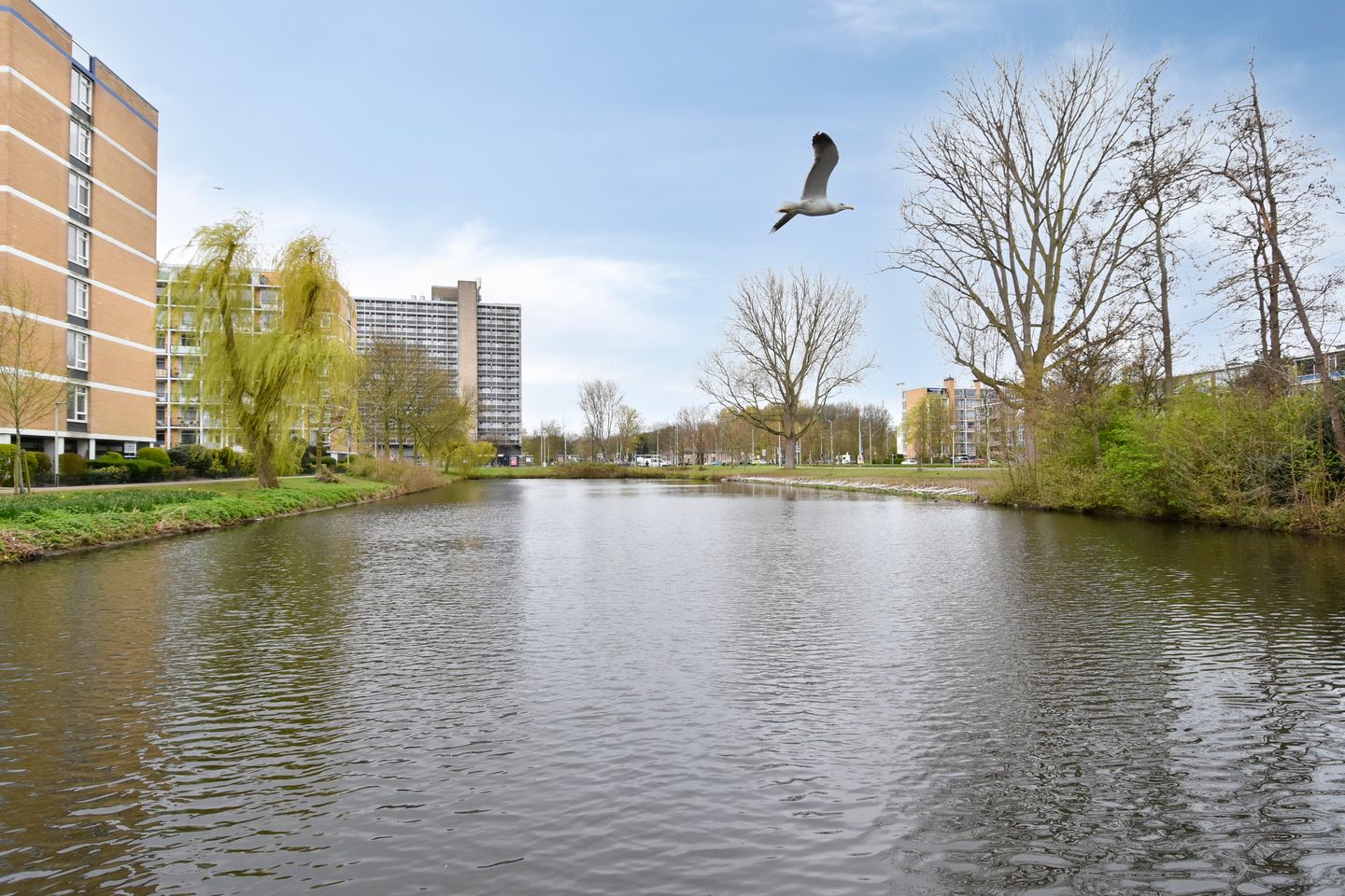 Photo 35 of Louis Davidsstraat 597