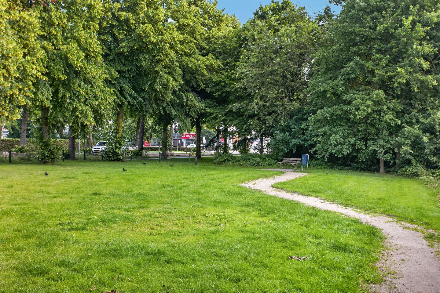 Foto 44 van Schiestraat 3