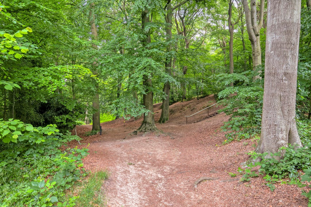 Foto 41 van Beekhuizenseweg 27