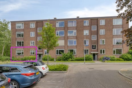 Venusstraat thumbnail