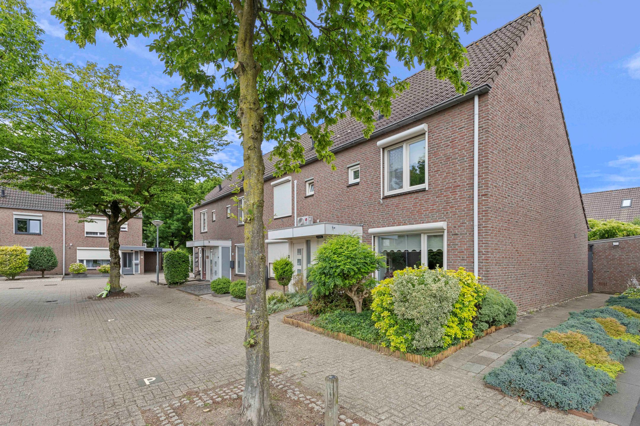 Photo 3 of Haagbeuk 61