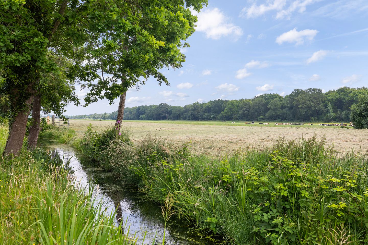 Photo 44 of Veldlaan 52