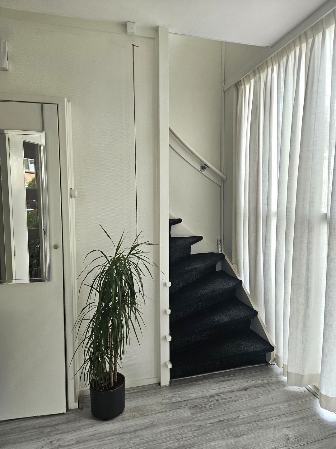 Photo 13 of Witsenborgstraat 3