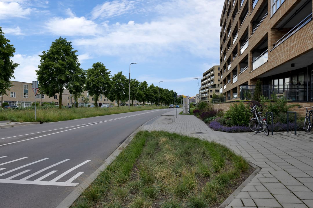 Photo 31 of Aziëlaan 639