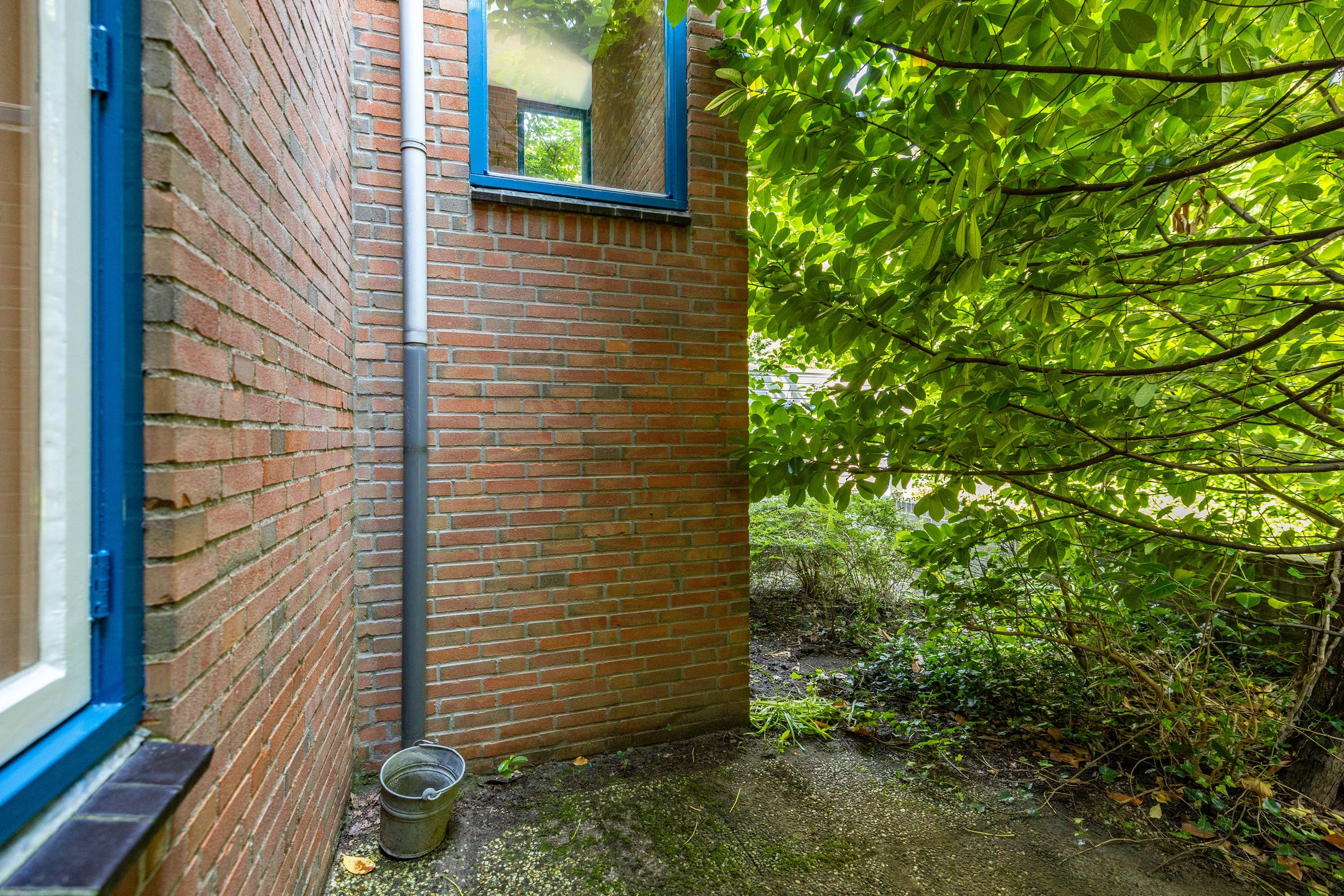 Photo 27 of Petrus Campersingel 31-57