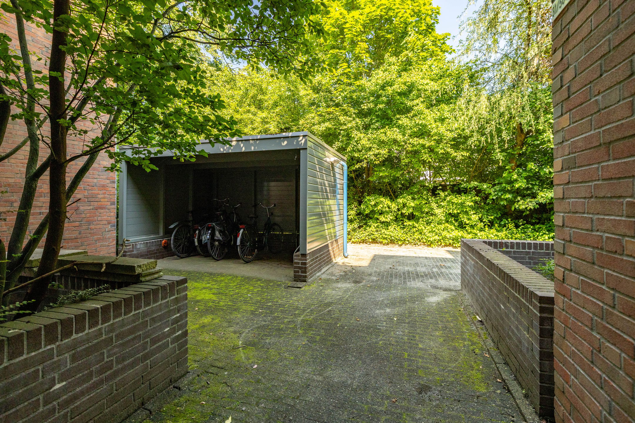 Photo 30 of Petrus Campersingel 31-57