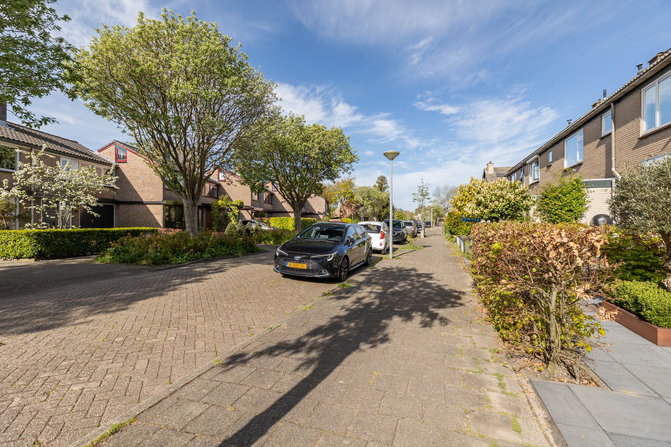 Photo 51 of Lijsterbeslaan 37