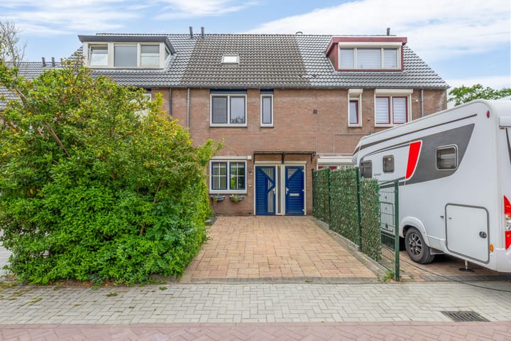 Kopspoor 4