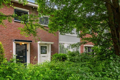 Boerhaavestraat thumbnail