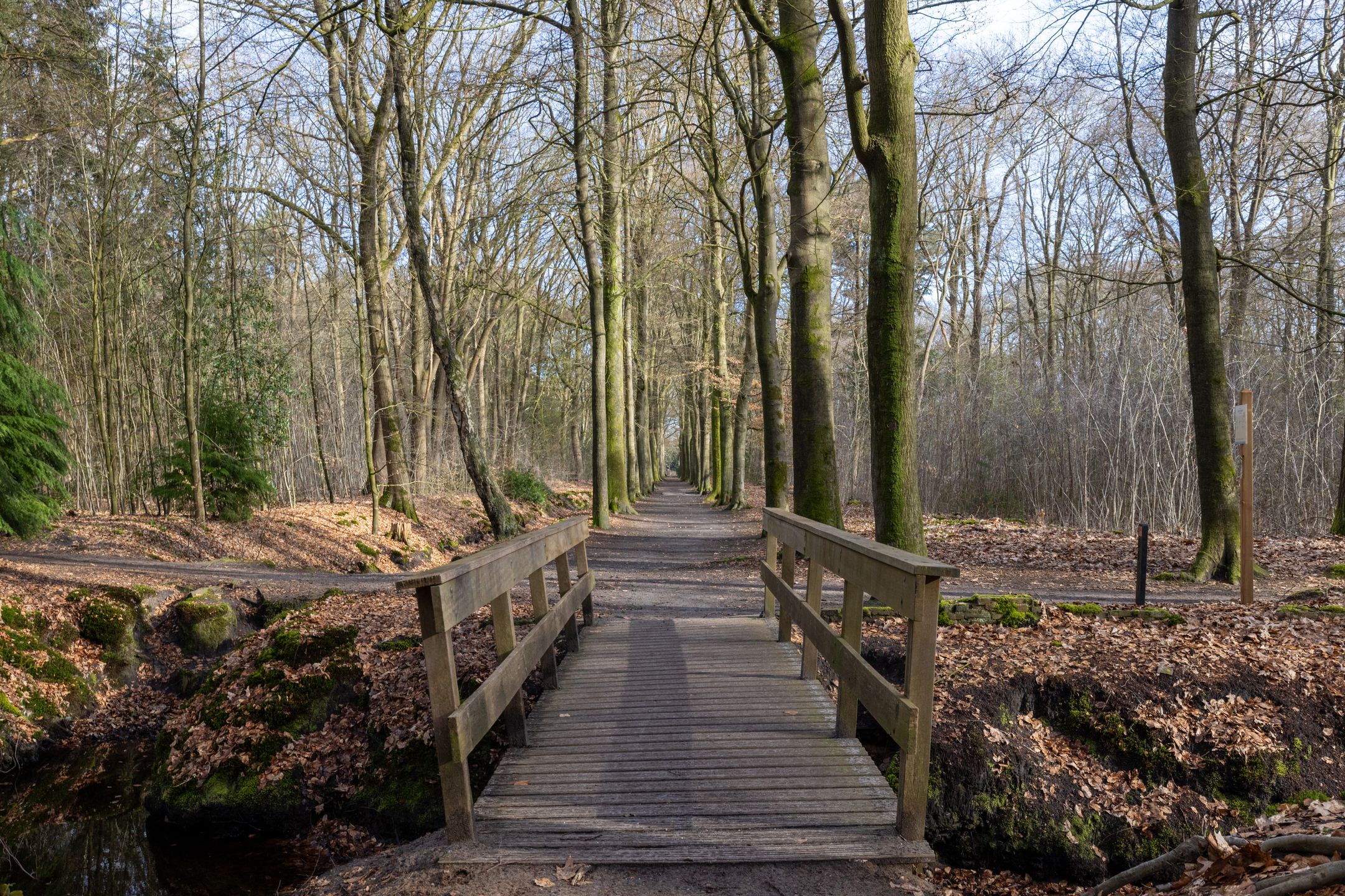 Foto 45 van van Oosthuyselaan 69