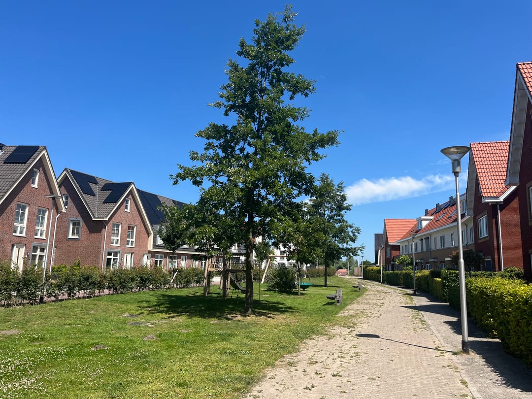 Photo 41 of Hertog Reynout 26