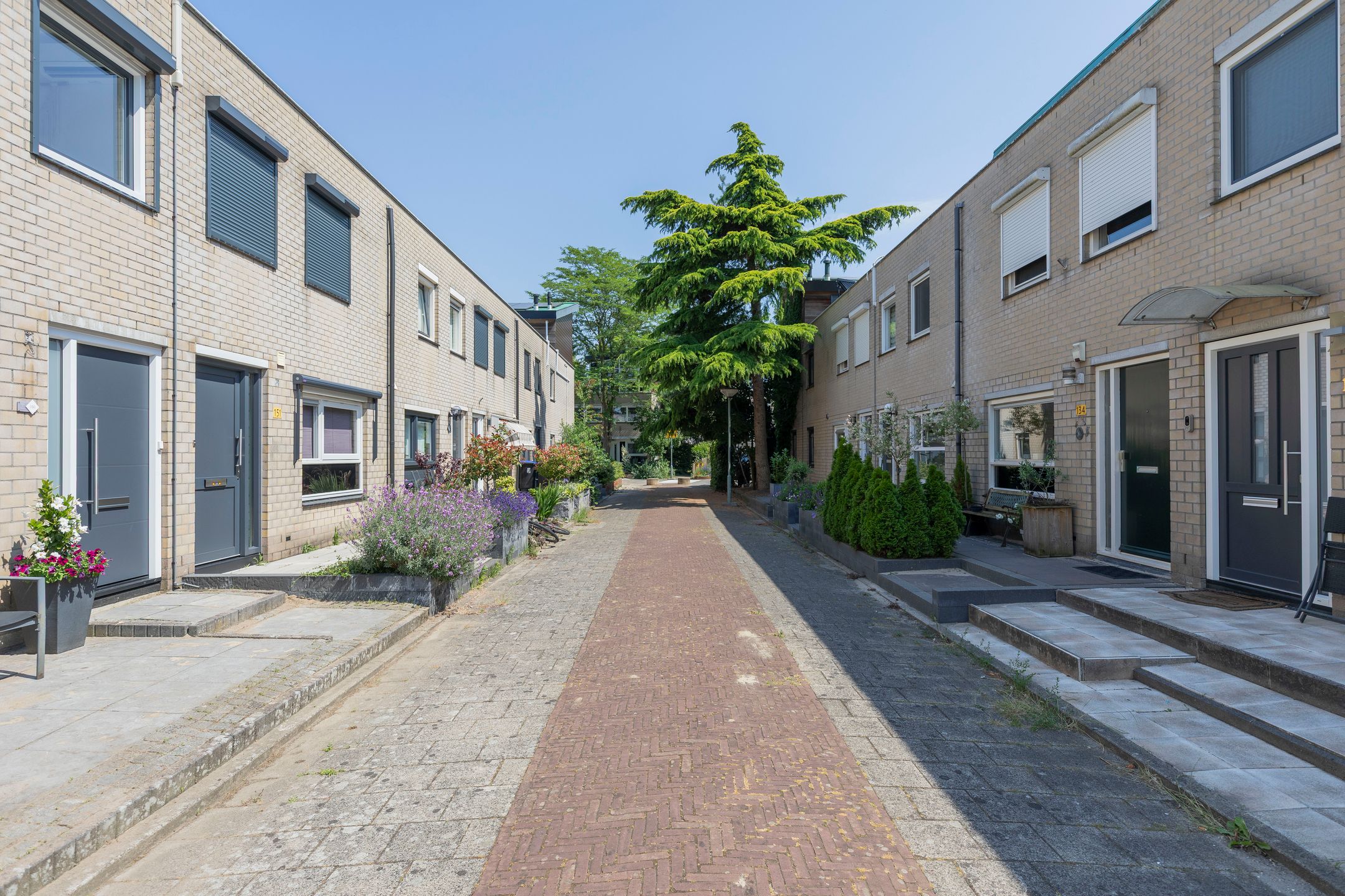 Photo 36 of Marowijne 150