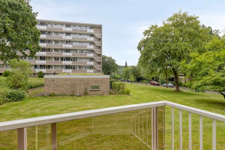 Appartement te koop: van Wassenaersheuvel 91, Oosterbeek
