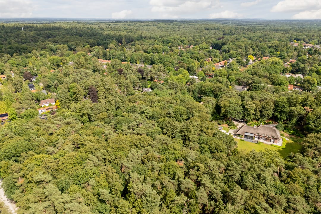 Foto 41 van Witte de Withlaan 10