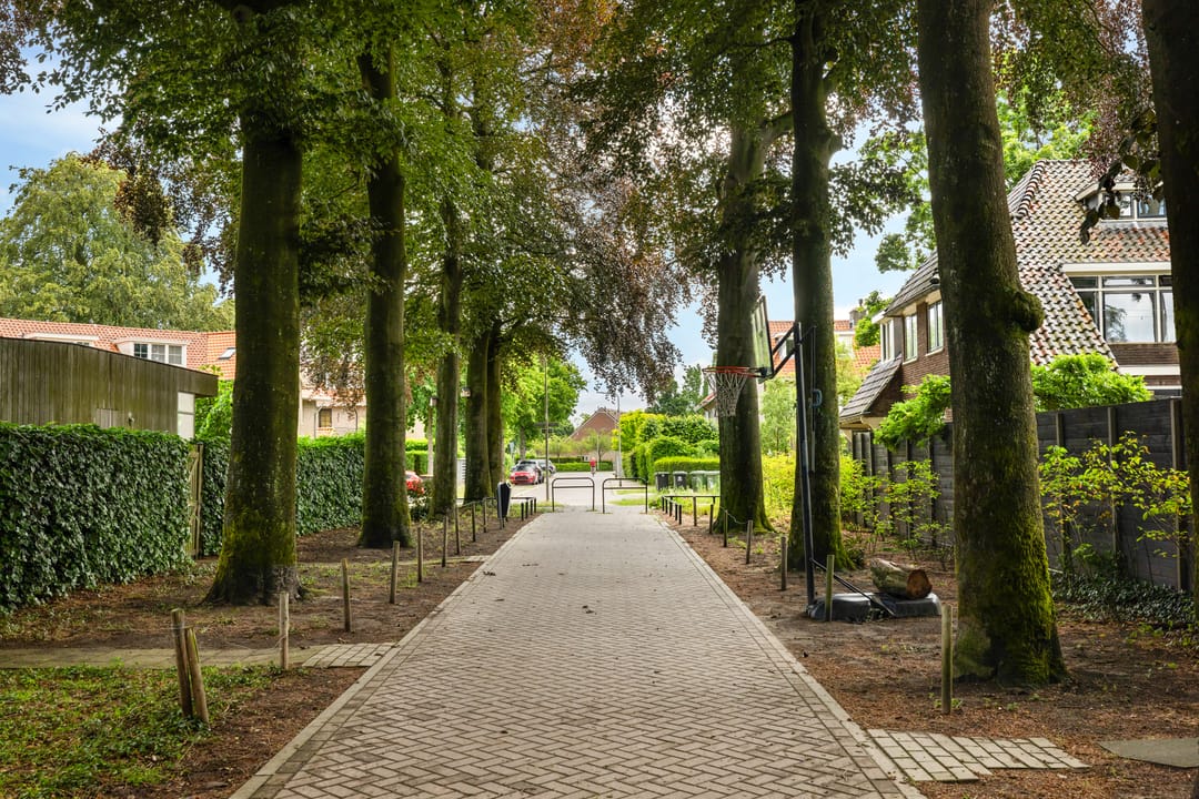 Photo 62 of Roemer Visscherlaan 27