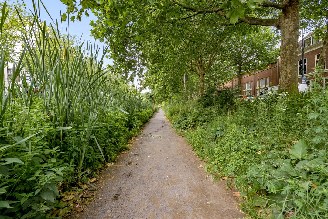 Photo 52 of Singelstraat 8