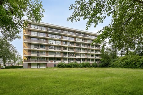 Wijenburglaan thumbnail
