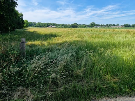 Bekijk foto's