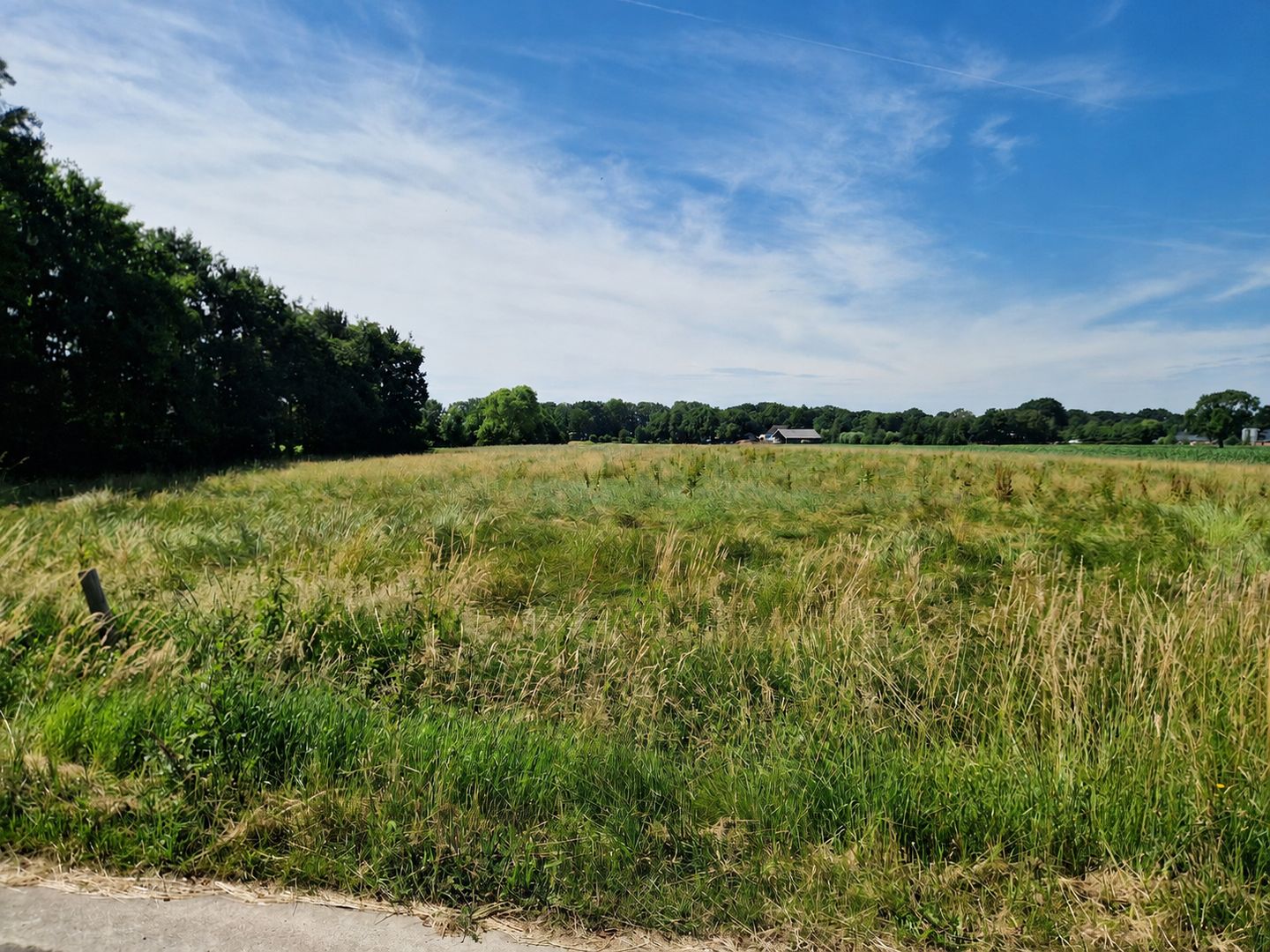 Schilschoterweg - Harskamp - Afbeelding 5