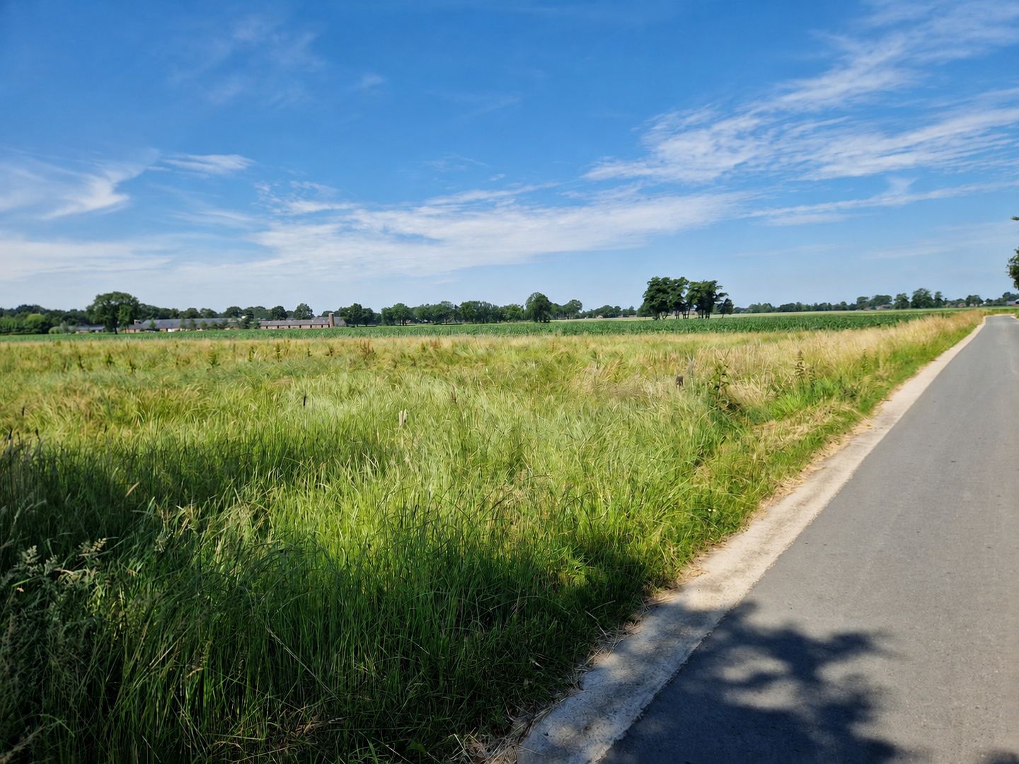 Schilschoterweg - Harskamp - Afbeelding 4
