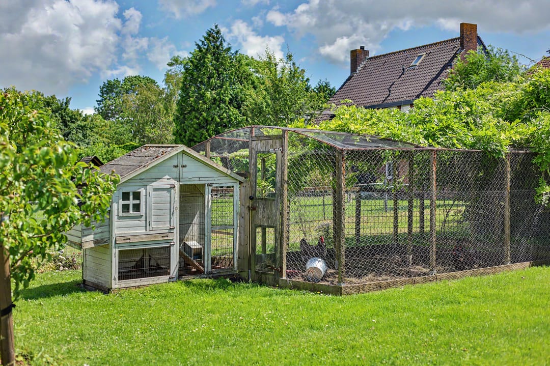 Photo 38 of Blaaksedijk Oost 28