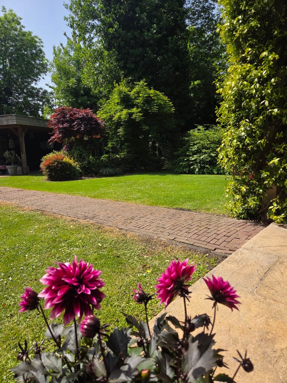 Photo 57 of Rozenlaan 1