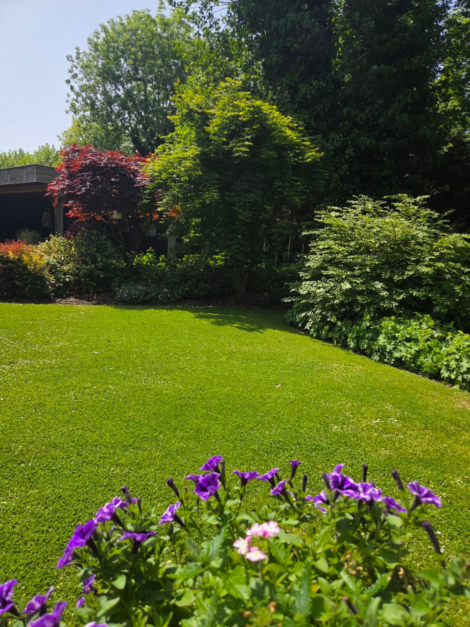 Photo 68 of Rozenlaan 1