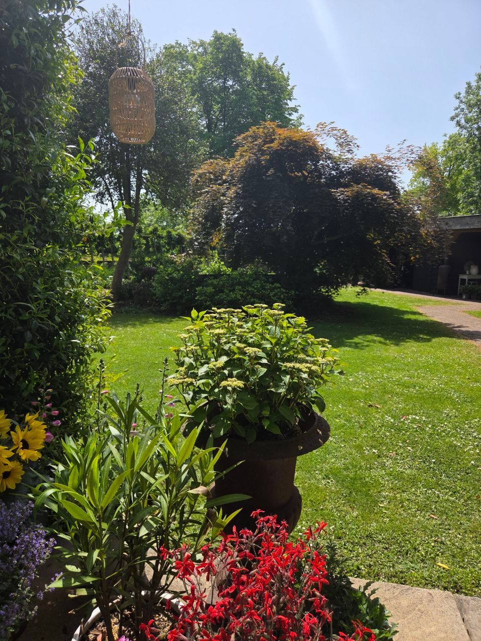 Photo 63 of Rozenlaan 1
