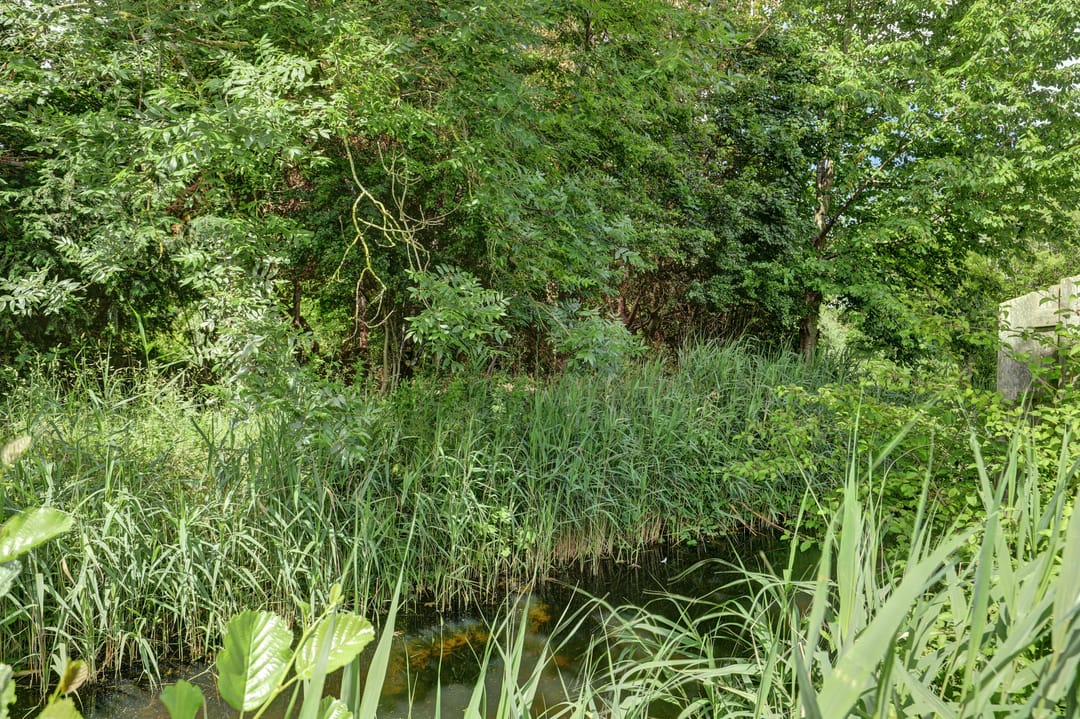 Photo 37 of De Keulen 5