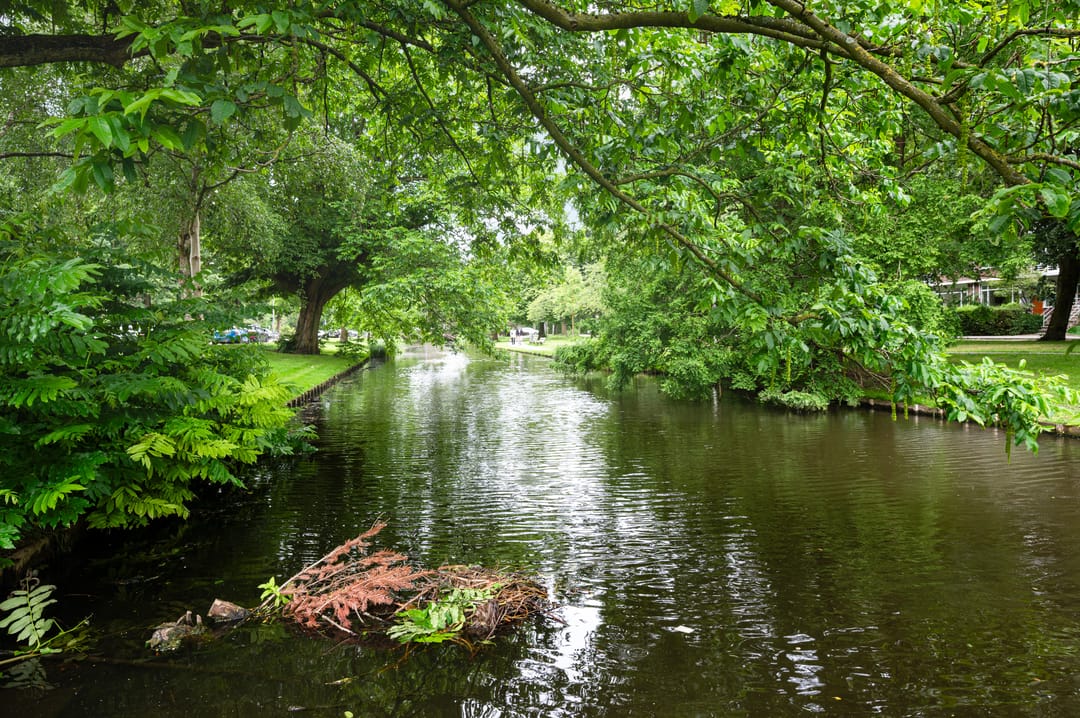 Photo 43 of Hogerbeetsstraat 20-B