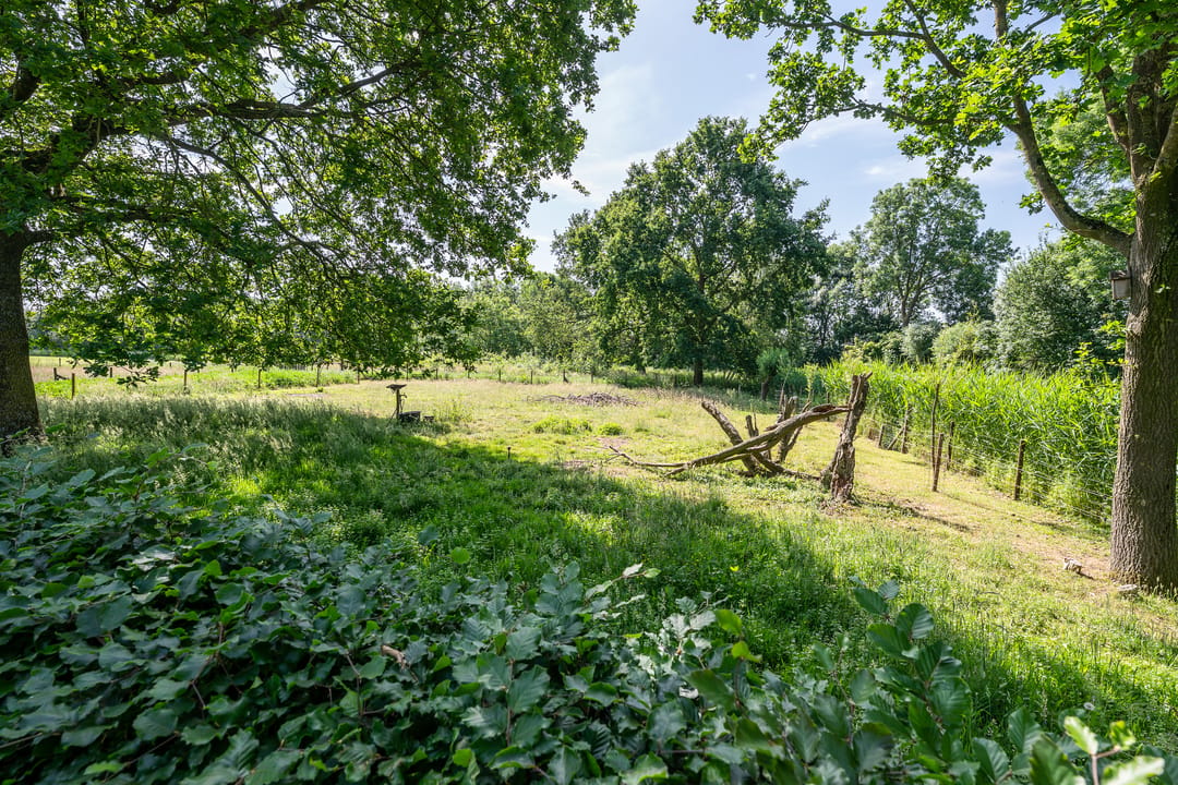 Photo 38 of Papenvoortsedijk 4-B