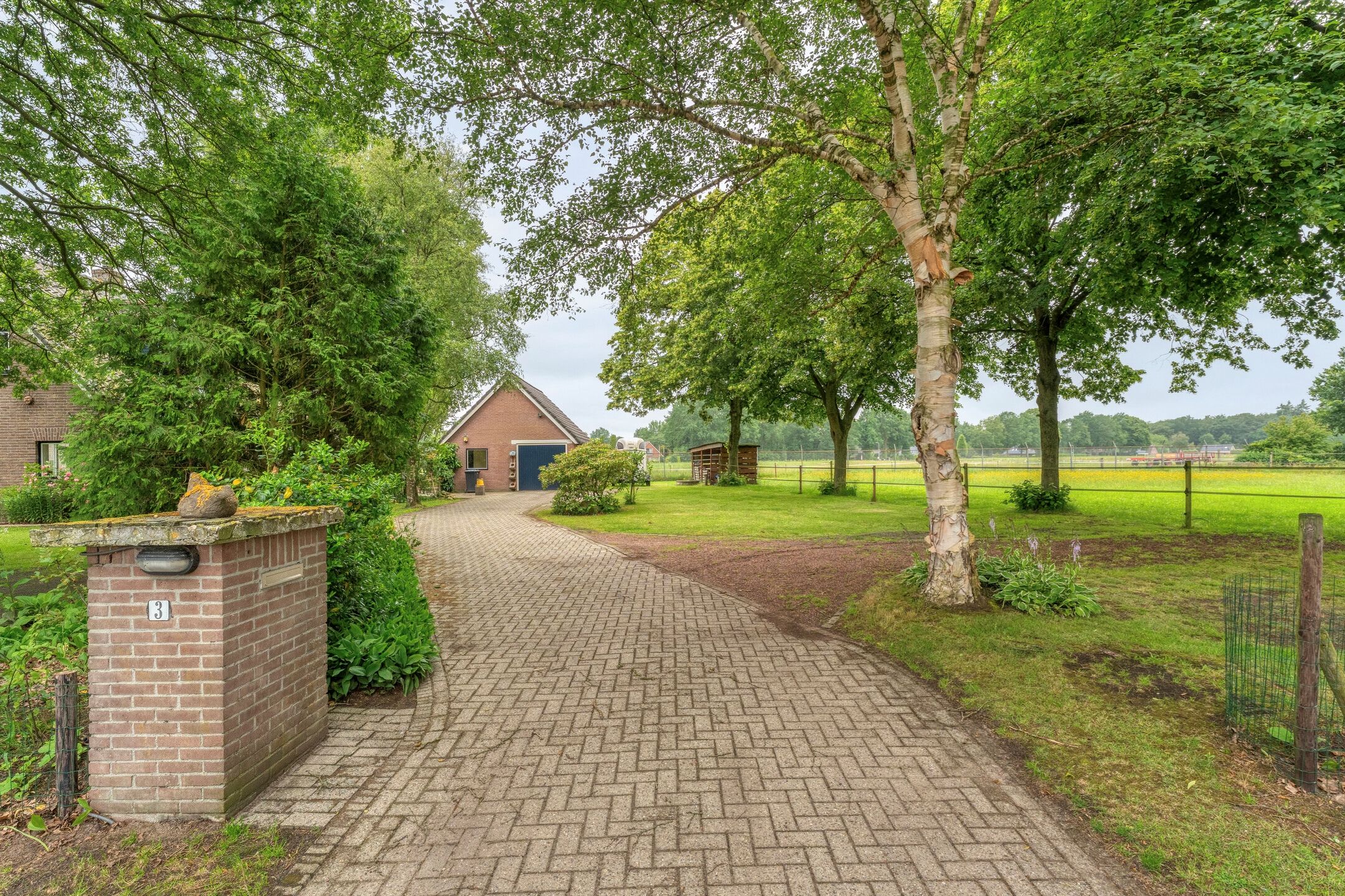 Photo 12 of Rolderstraat 3