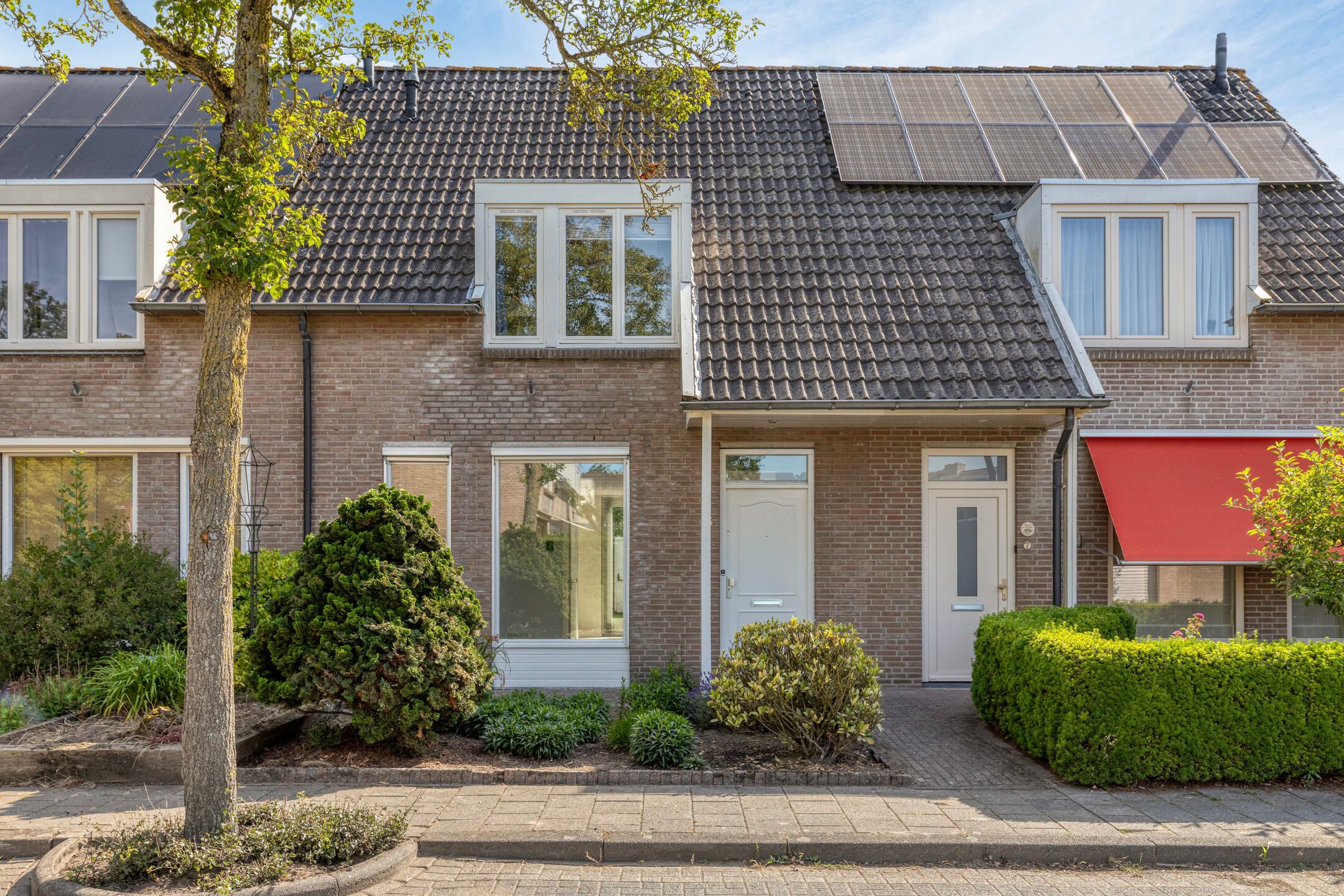 Duizendblad 5 