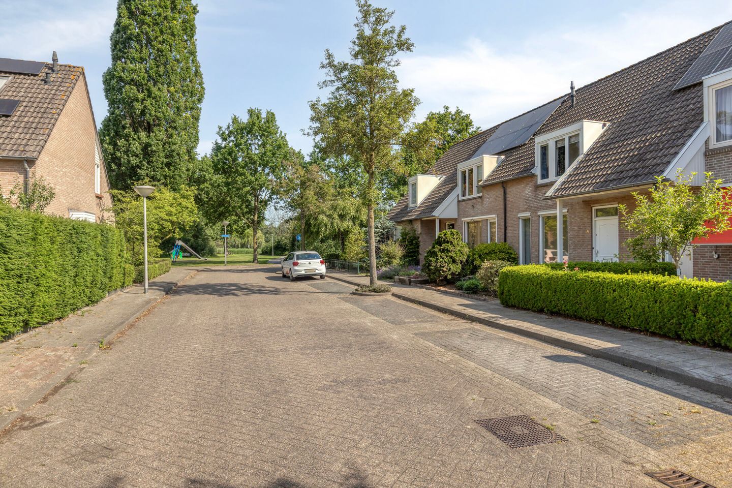 Photo 35 of Duizendblad 5