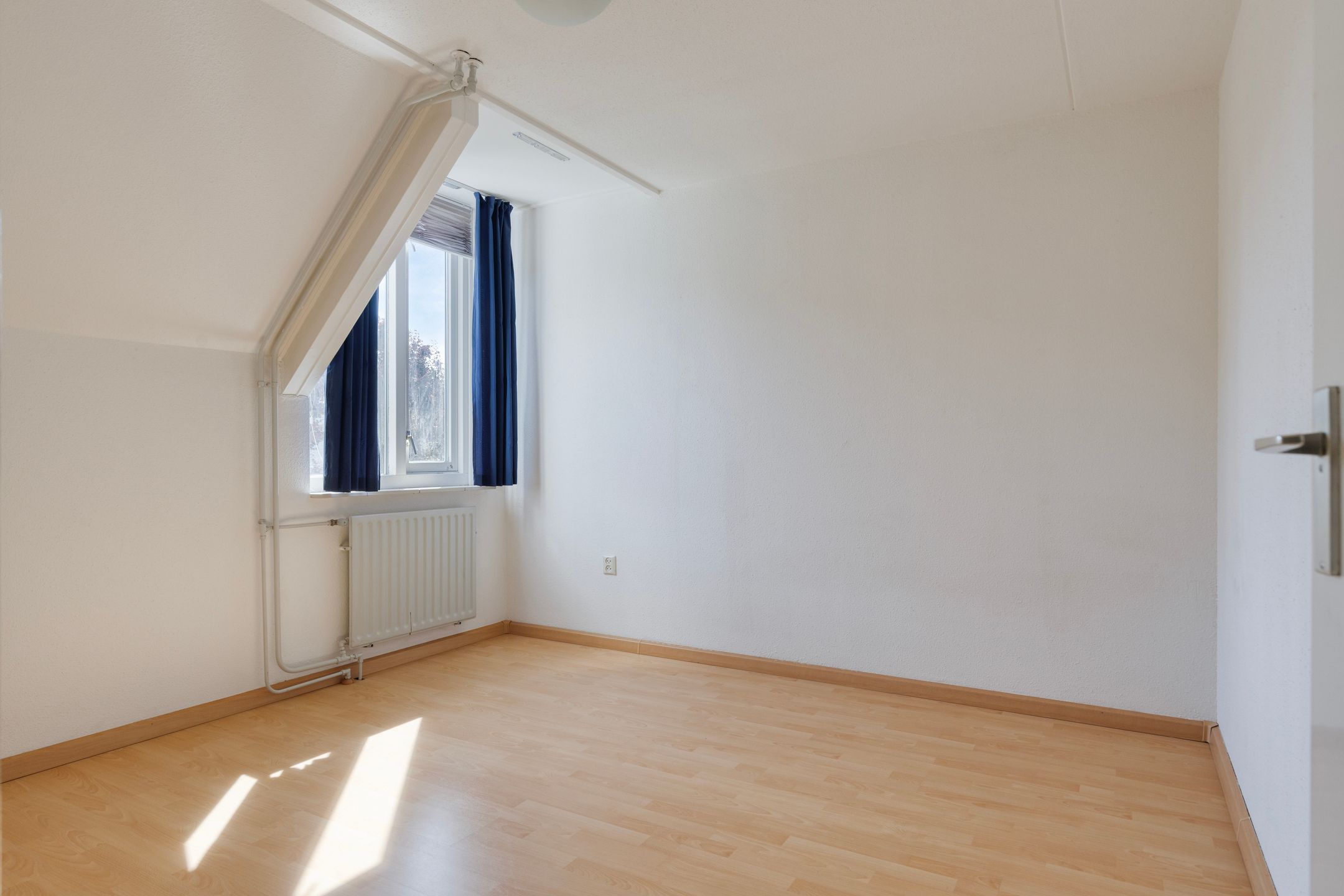 Photo 24 of Duizendblad 5