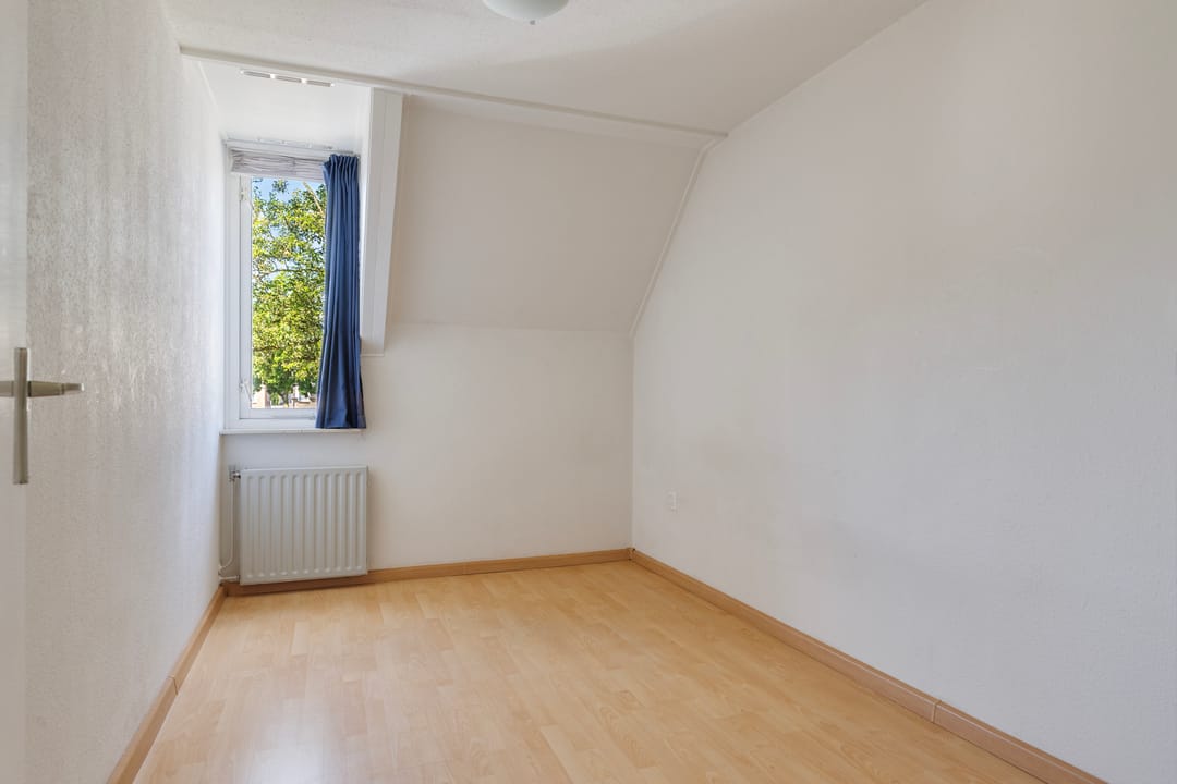 Photo 26 of Duizendblad 5