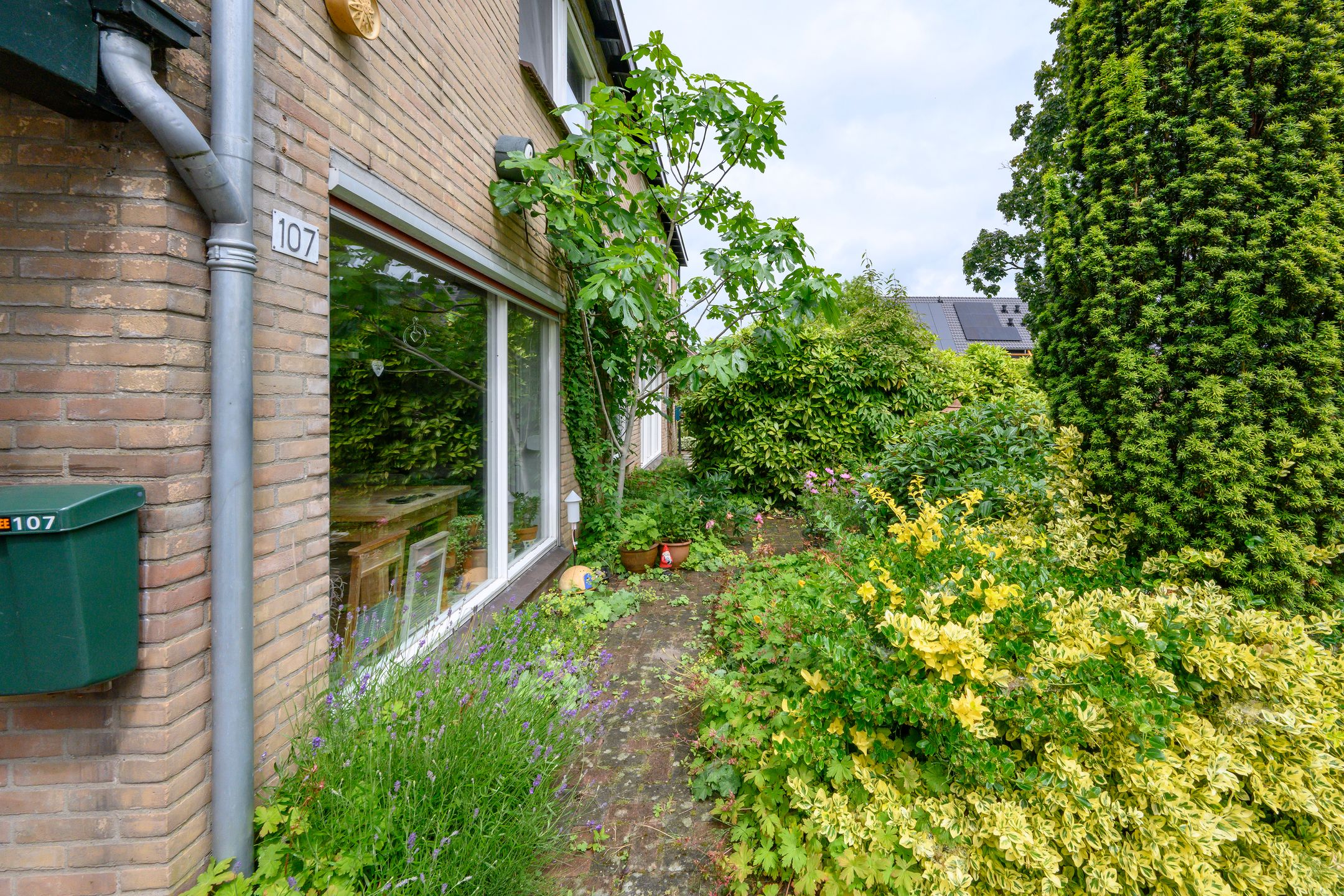 Photo 27 of Patrijsstraat 107