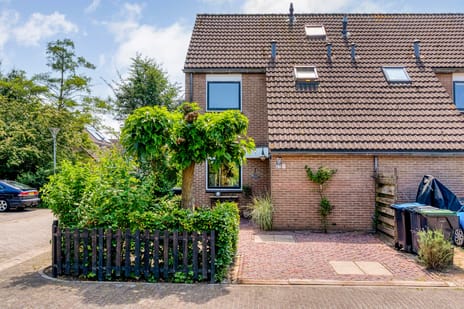 Pinksterbloem thumbnail