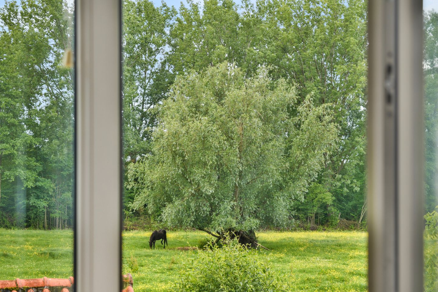 Photo 19 of Wielhovenstraat 8